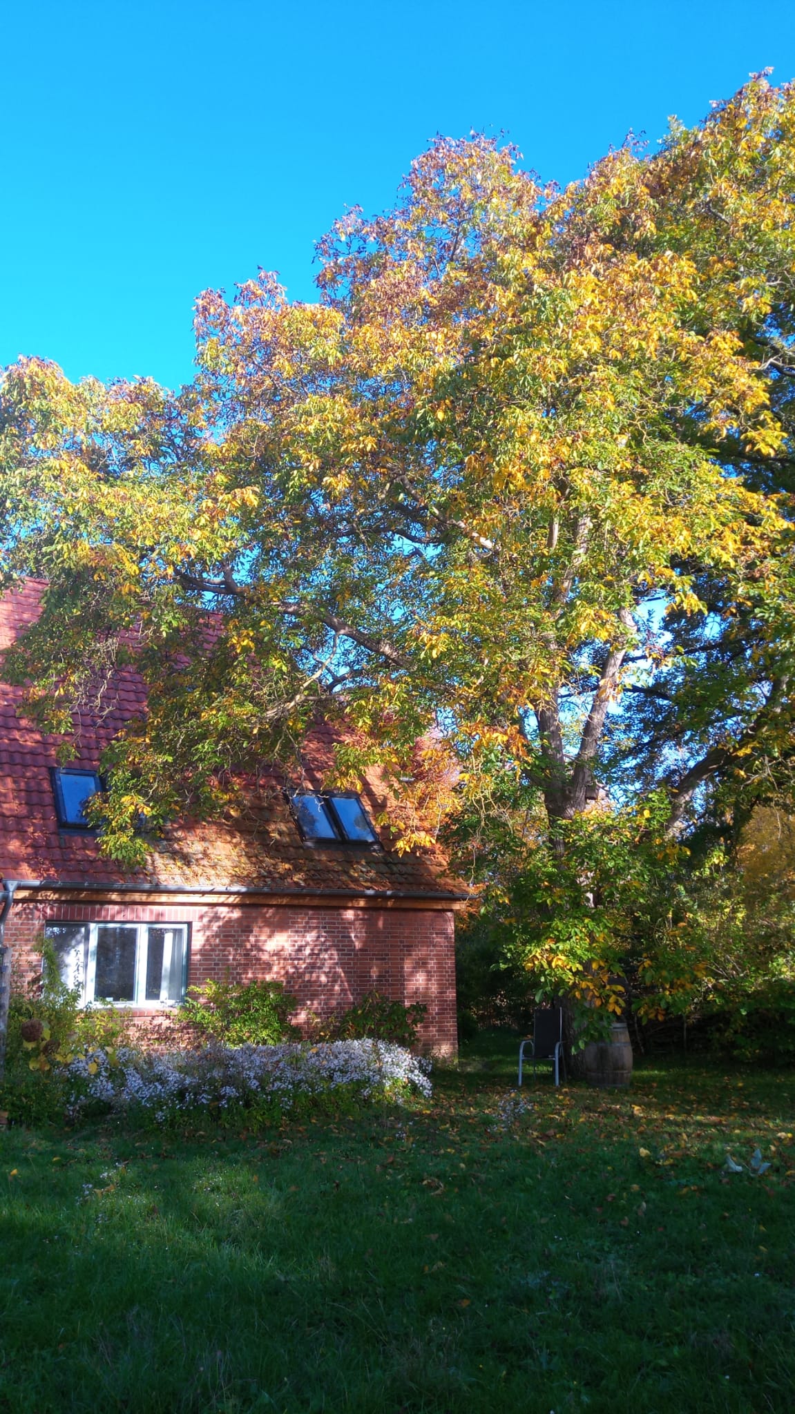 Haus_Gartenseite Haus Gartenseite